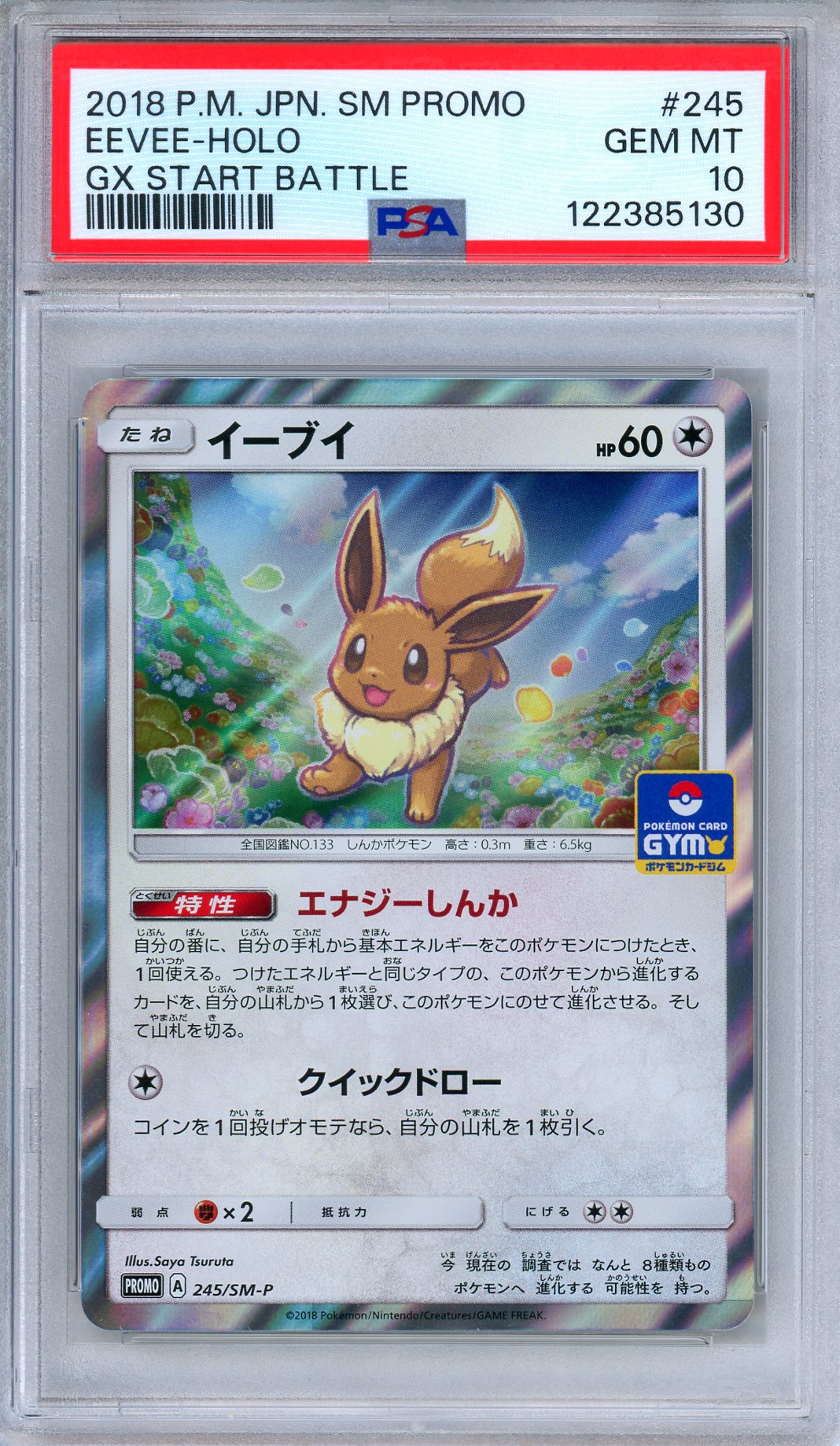 PSA 10 Eevee 245/SM-P GX Start Battle Promo Holo Japanese Pokemon