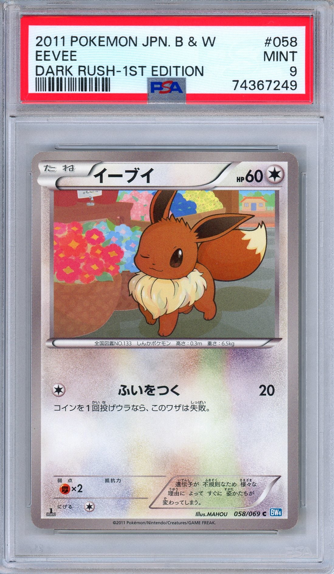 PSA 9 Eevee 058/069 Dark Rush 1st Edition Japanese Pokemon LOW POP!