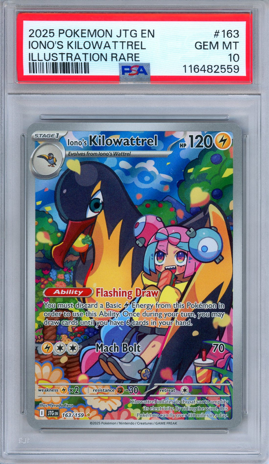 PSA 10 Iono's Kilowattrel 163/159 Journey Together Illustration Rare Pokemon