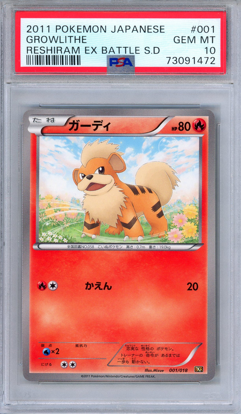 PSA 10 Growlithe 001/018 Reshiram EX Battle Strength Deck Japanese Pokemon