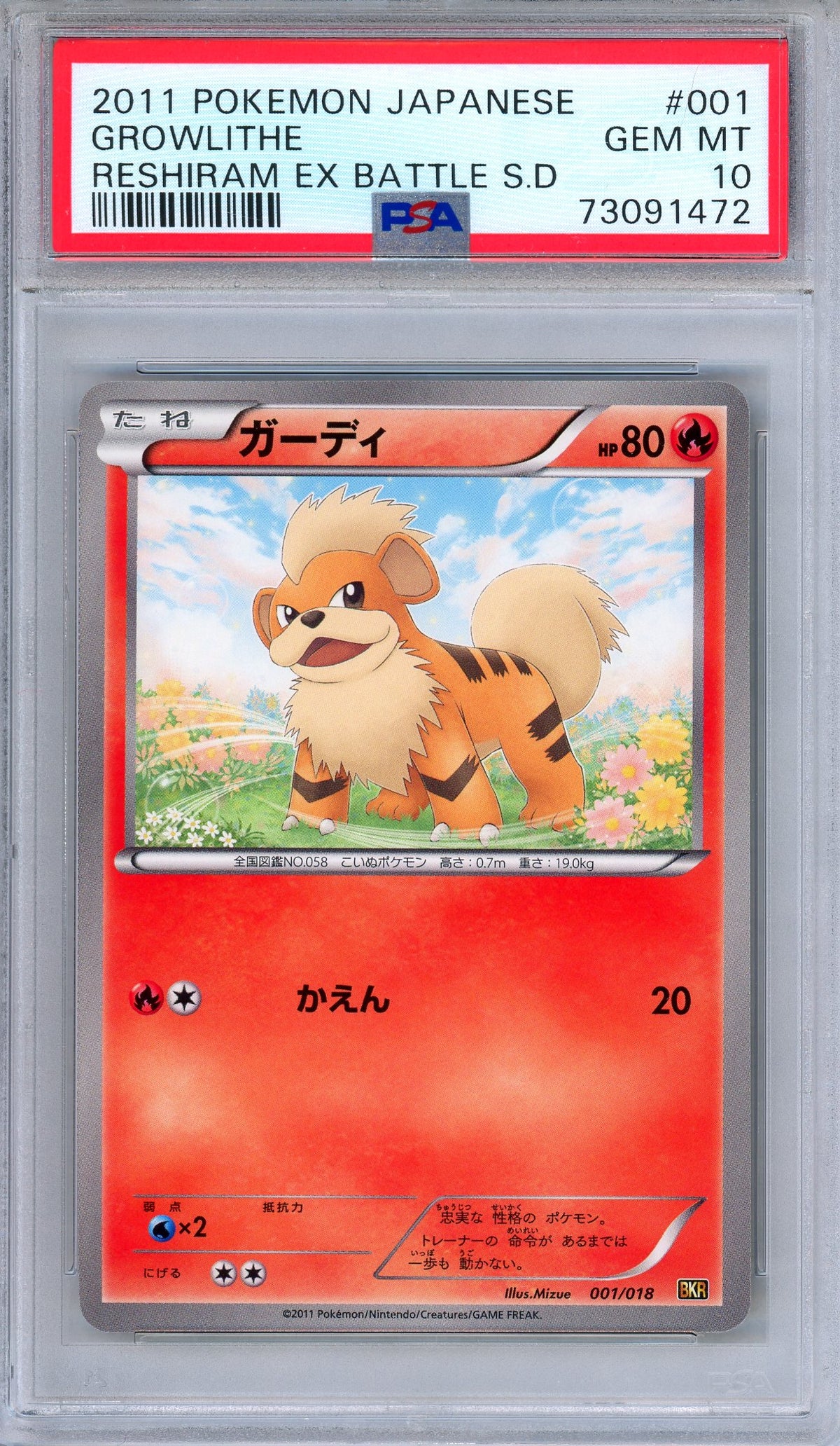PSA 10 Growlithe 001/018 Reshiram EX Battle Strength Deck Japanese Pokemon