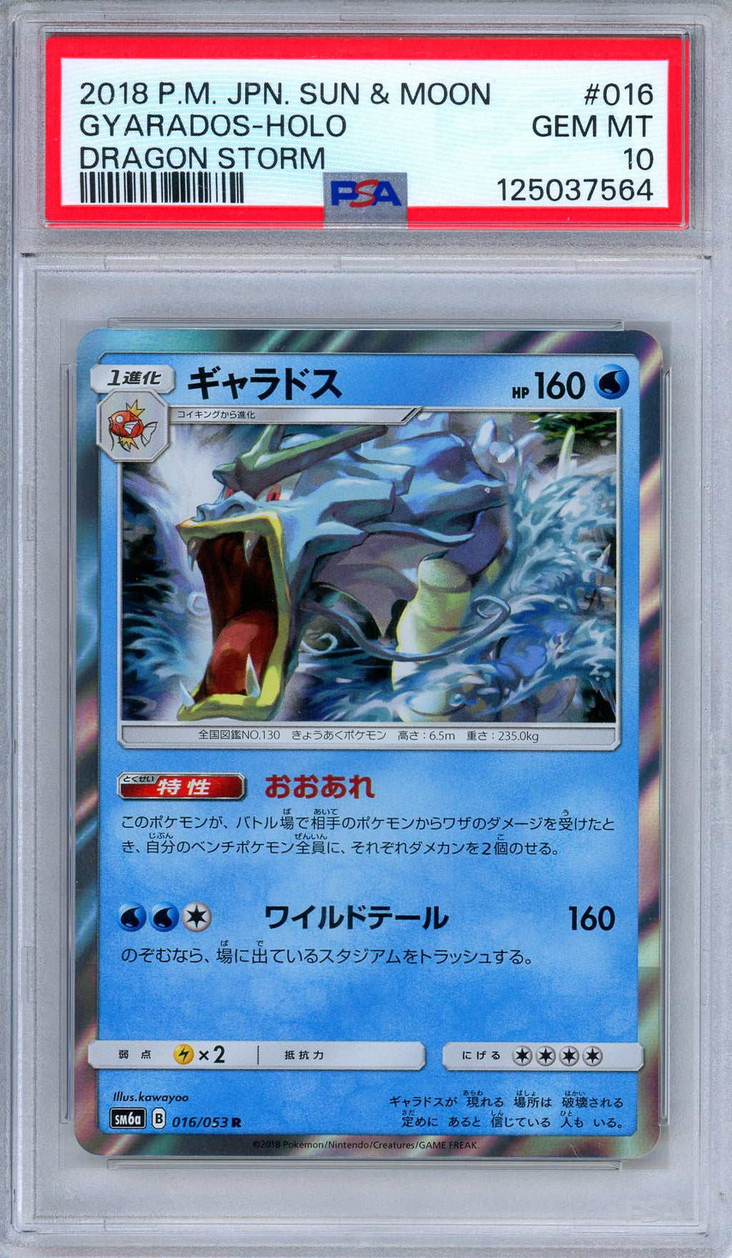 PSA 10 Gyarados 016/053 Dragon Storm Holo Rare Japanese Pokemon