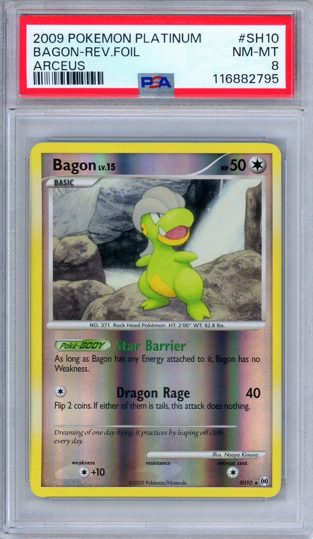 PSA 8 Bagon SH10 Arceus Reverse Foil Shiny Pokemon