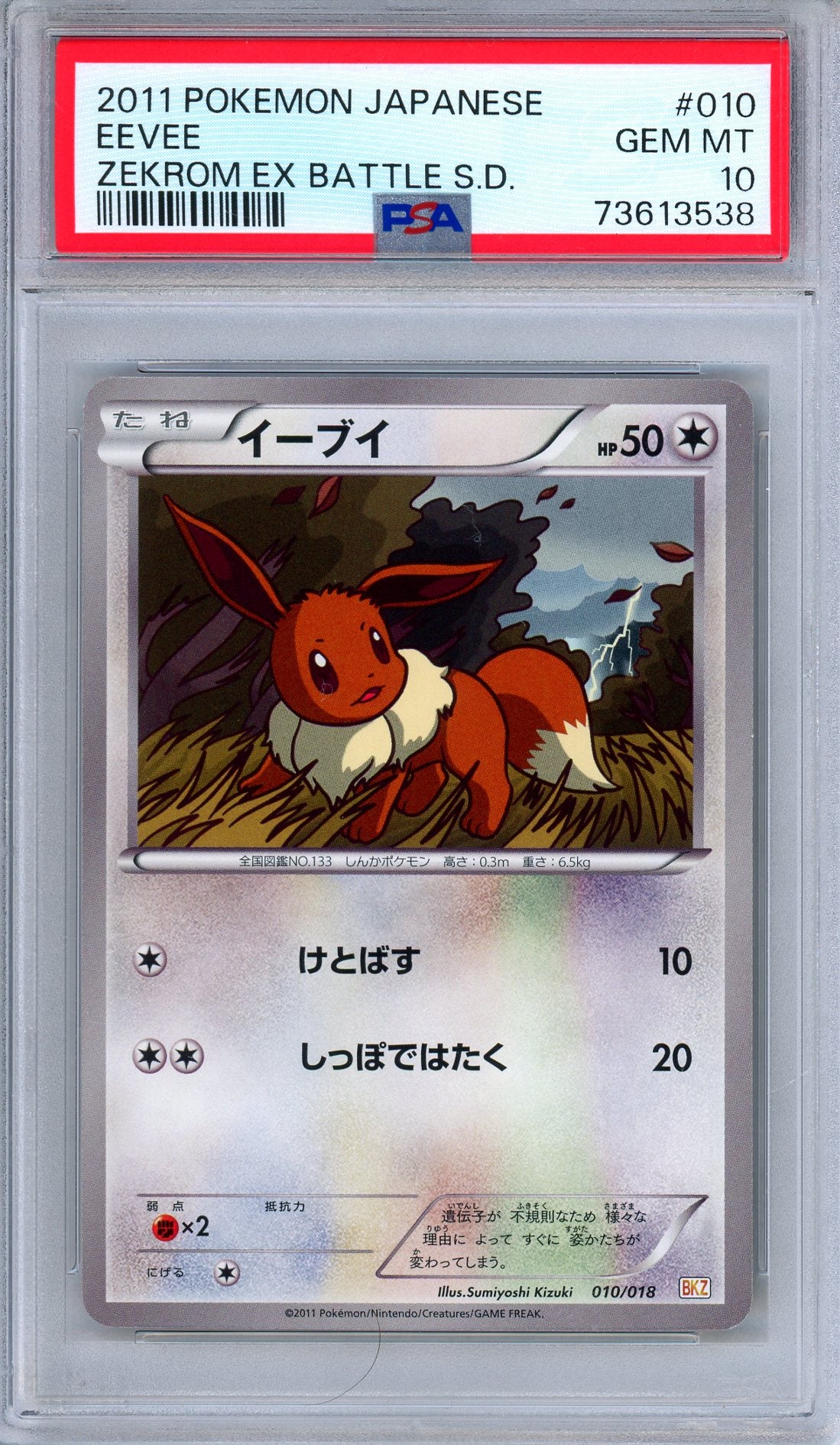 PSA 10 Eevee 010/018 Zekrom EX Battle Strength Deck Japanese Pokemon